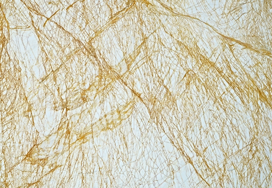 金蜘（zhī）蛛大理石